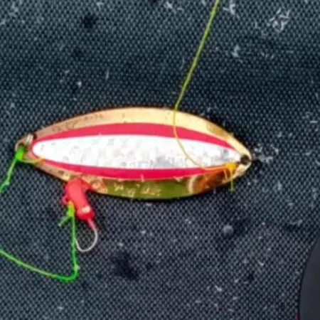 Modest Domek alpejski